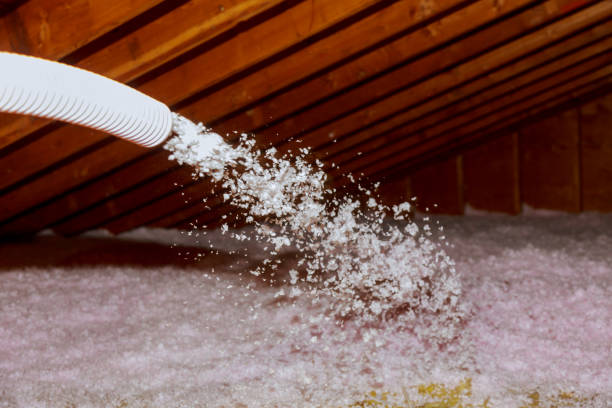 Best Specialized Insulation Services in Muniz, TX