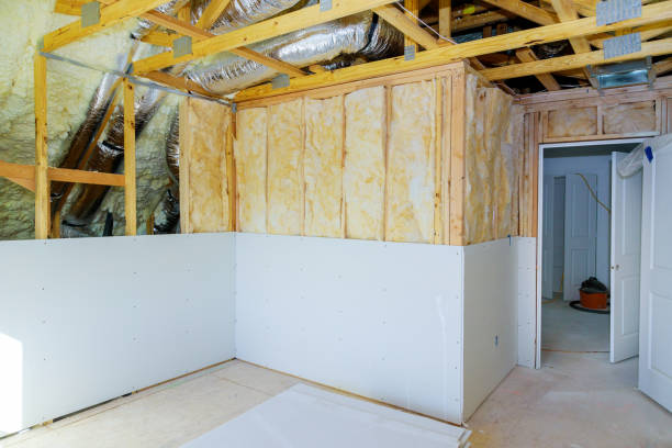 Types of Insulation We Offer in Muniz, TX