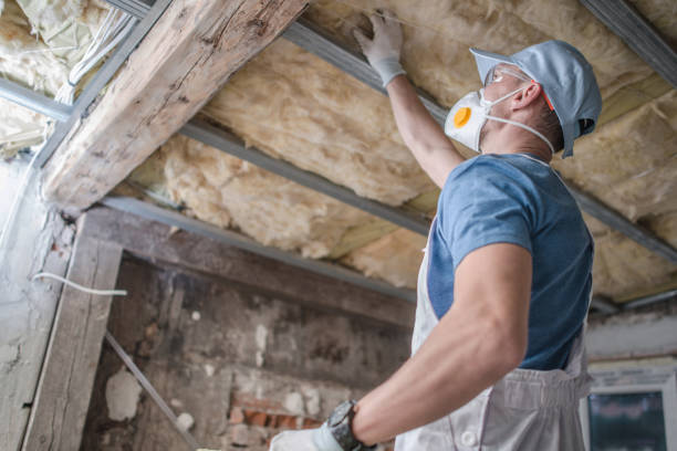 Best Residential Insulation in Muniz, TX