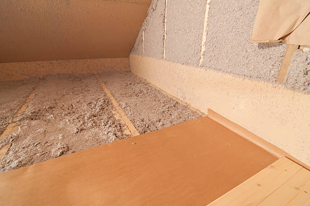 Best Blown-in Insulation in Muniz, TX