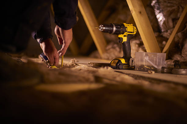 Best Geographic-Specific Insulation Services in Muniz, TX