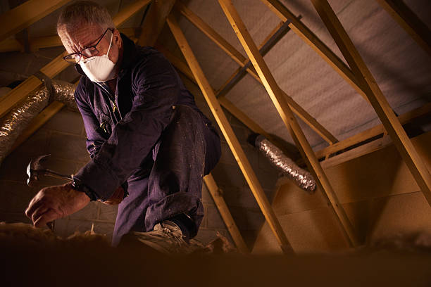 Best Commercial Insulation in Muniz, TX