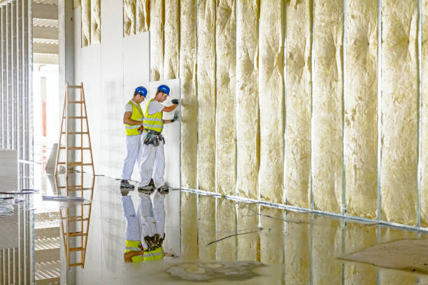 Best Energy Efficiency Insulation in Muniz, TX